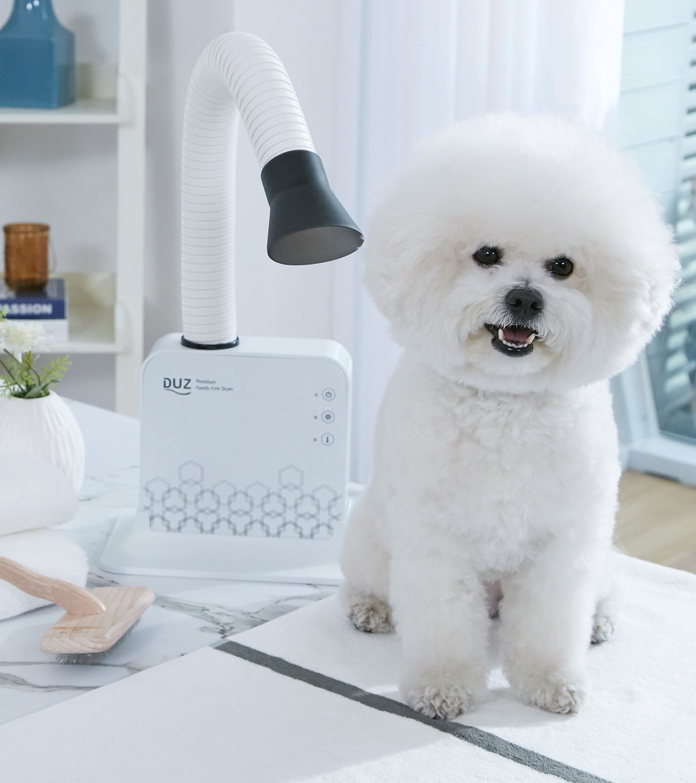 Amazon.com: DUZ V2 Super Quiet Hands-Free Pet Dryer: Low-Noise Dog